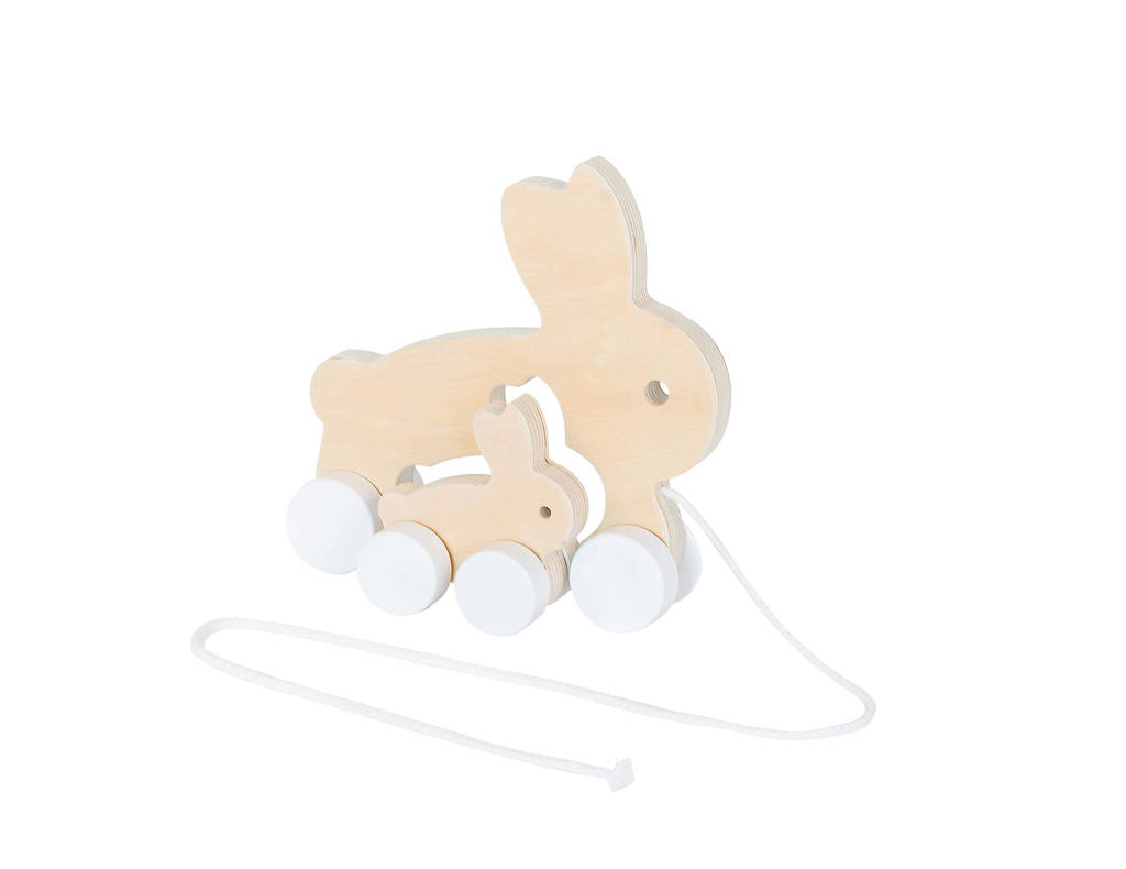 Friendly Wooden Rabbit Pulltoy