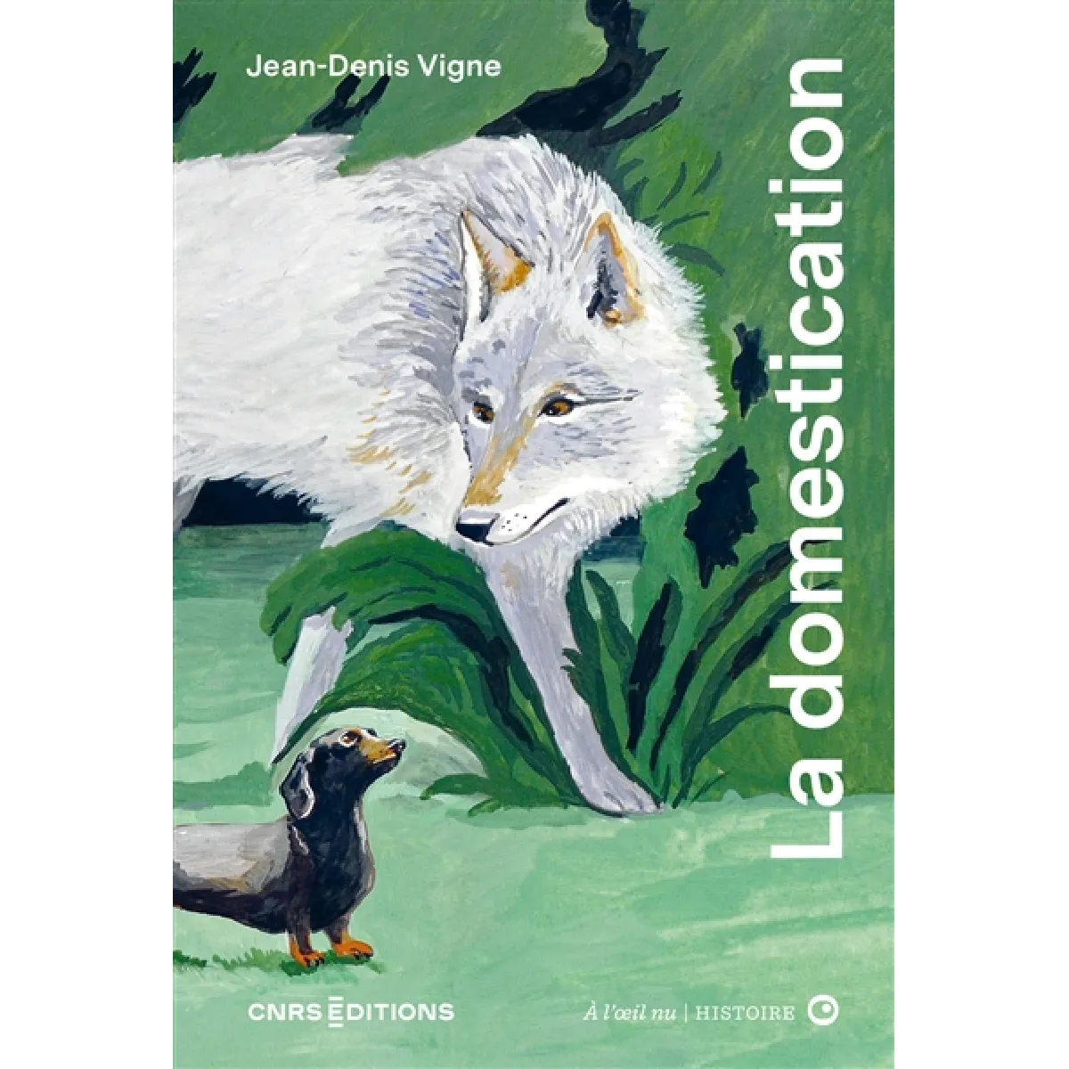 La domestication · Occasion