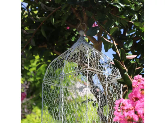 Cage à oiseaux décorative ancienne grillagée métal blanc 19x25.5x52cm