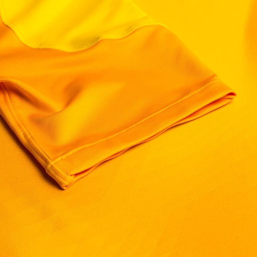 Nike Maillot de Gardien Dri-FIT ADV Gardien IV - Jaune/Jaune Doré/Noir