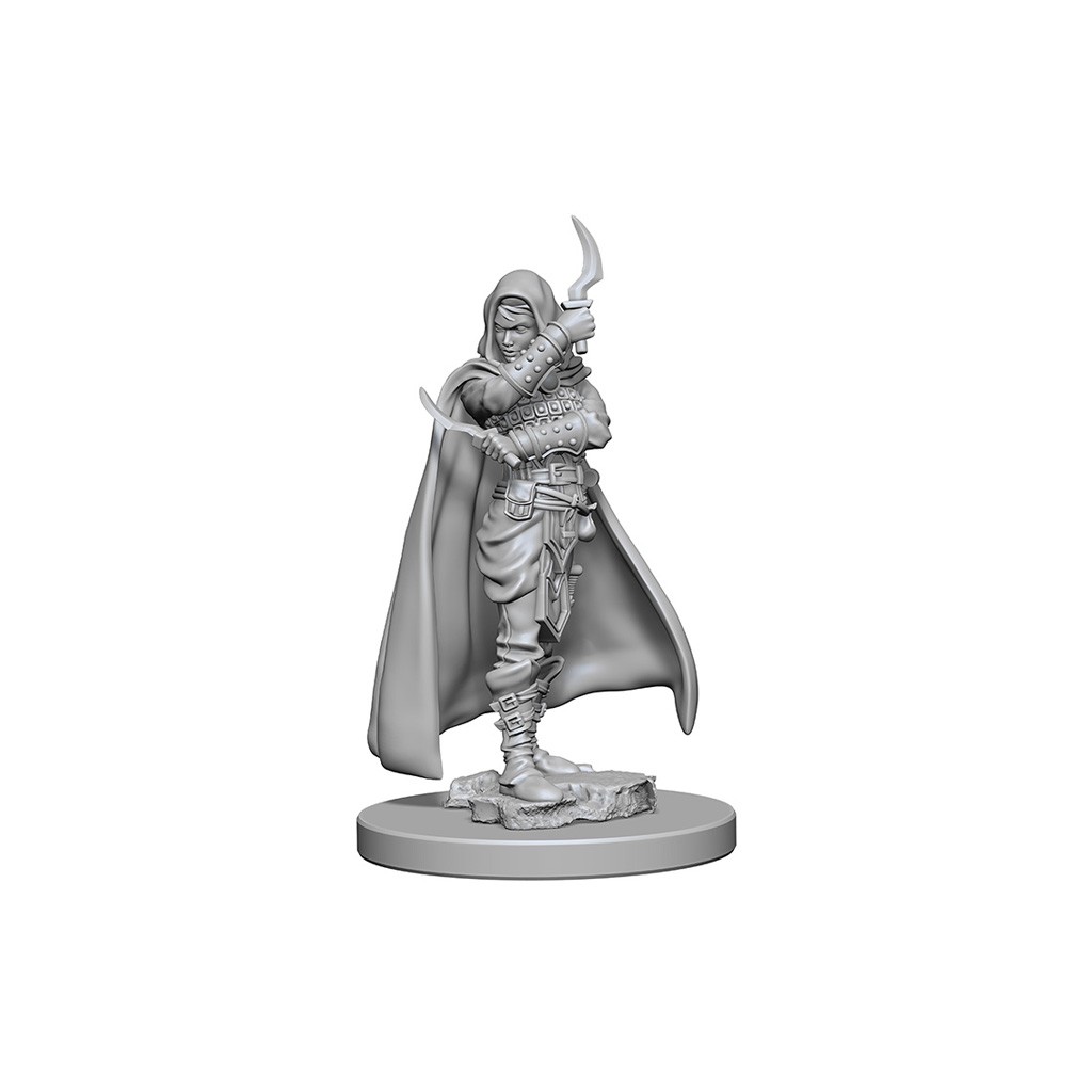 Pathfinder Deepcuts Unpainted Miniatures: Human Female Rogue