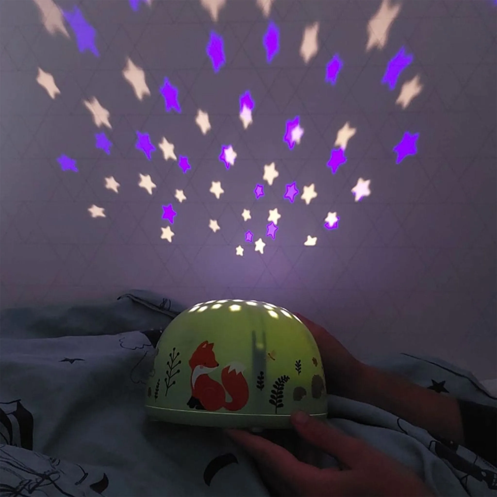 A little lovely company Projecteur - Amis de la Forêt