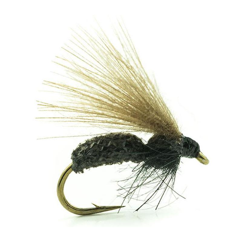 Mouche Devaux Terrestre Jbf03