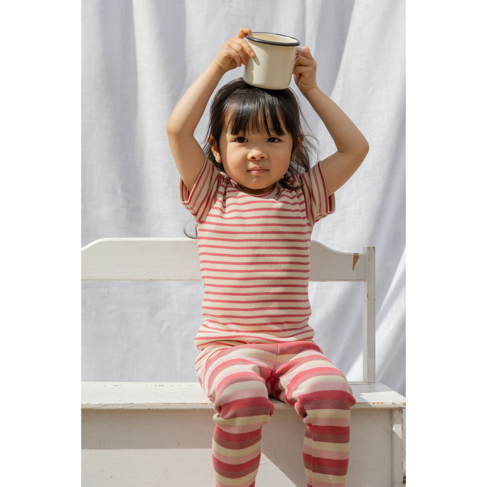 Køb Petit Piao Light Berry/Dark Off White T-shirt S/S Modal Striped