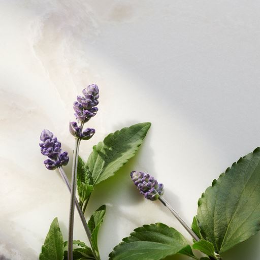 Rituals Namaste Trial Gaveæske