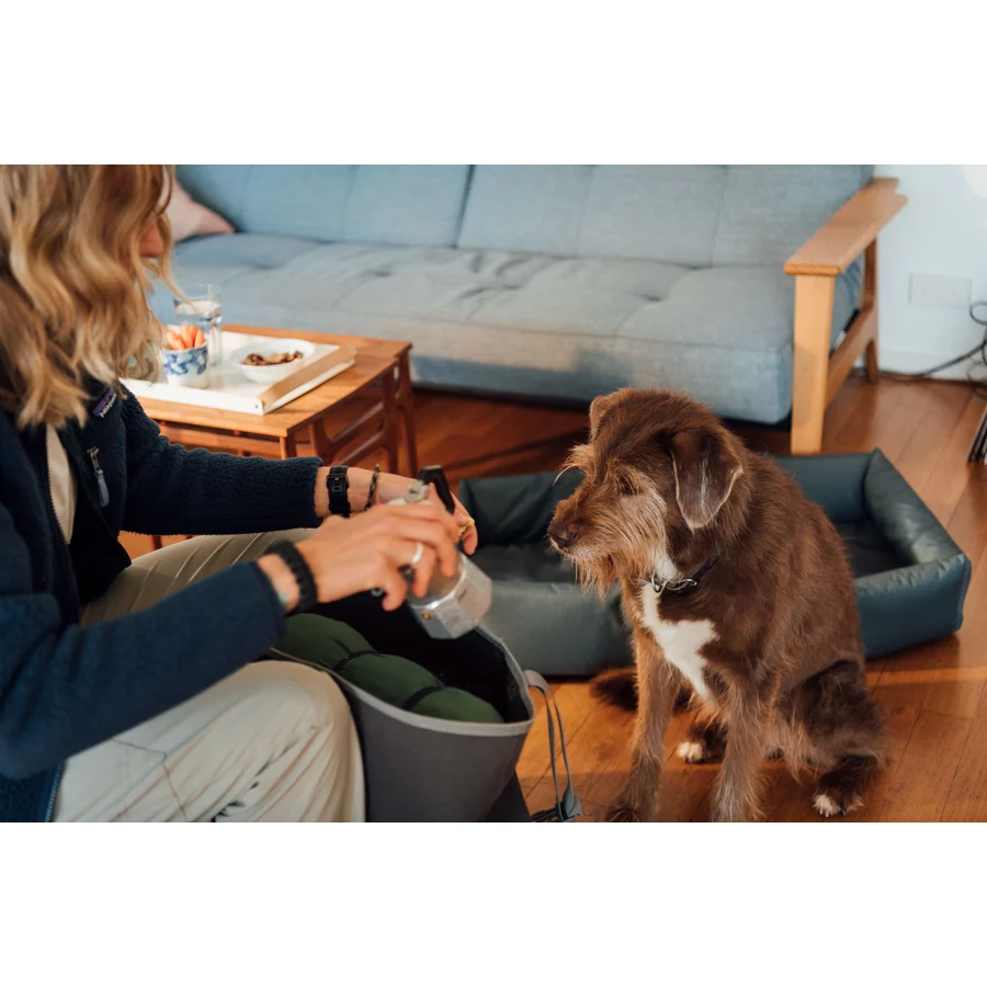 CROOZER Hundeanhänger Dog Mikke Colourful Journey