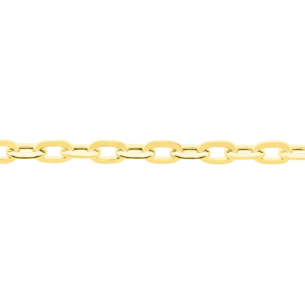 Chaîne Igoa Maille Forçat Diamantee Or Jaune