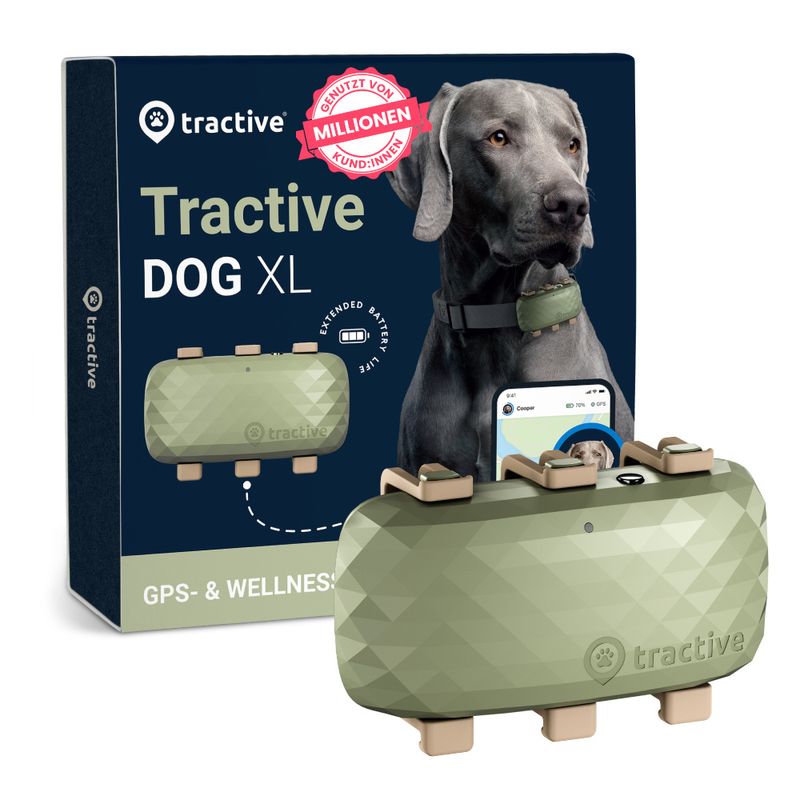 Traceur GPS Tractive DOG XL