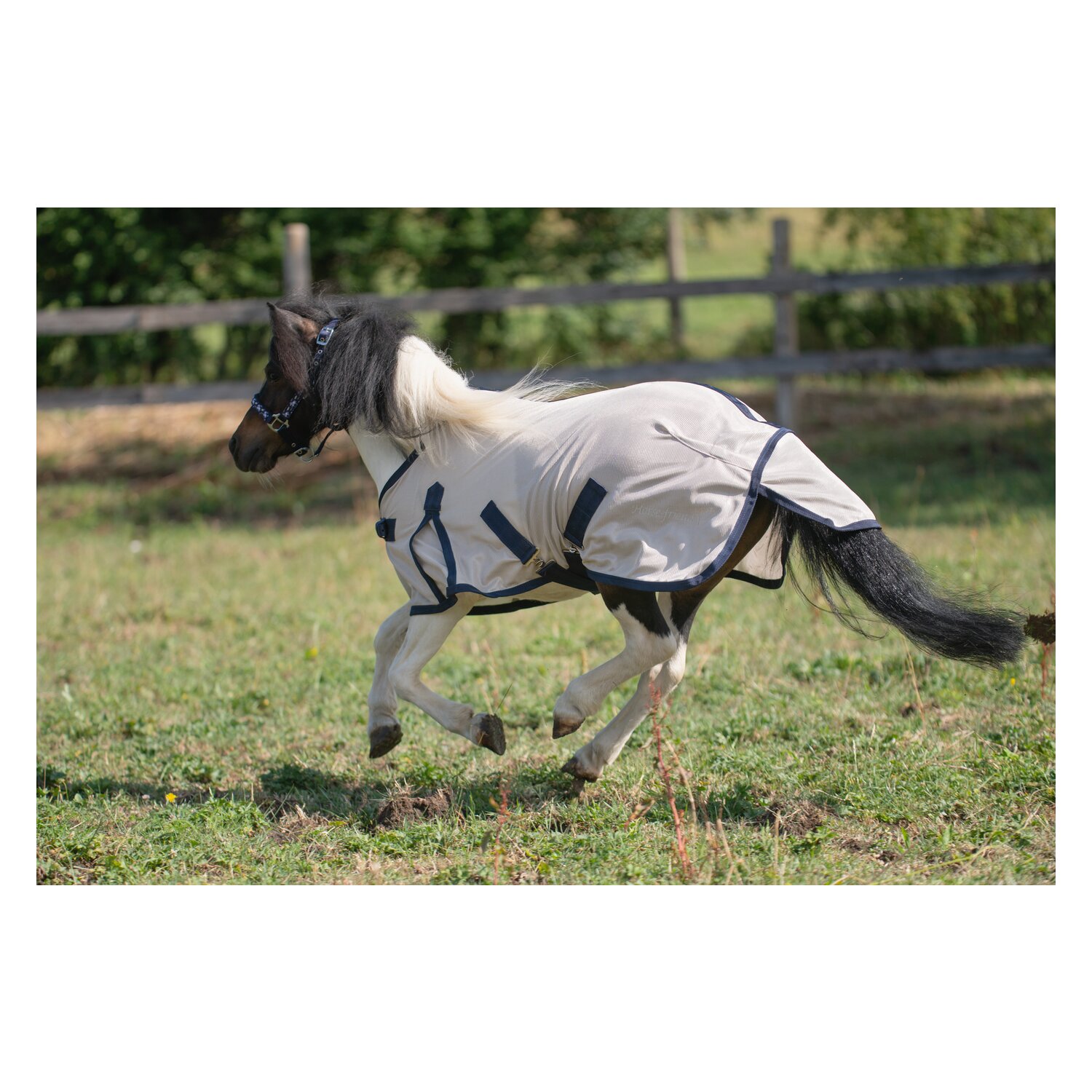 Horse-friends Fliegendecke für Shetty und Pony  - silber
