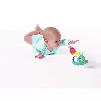 Tiny Love Tummy Time Musikkuro, Meadow Days