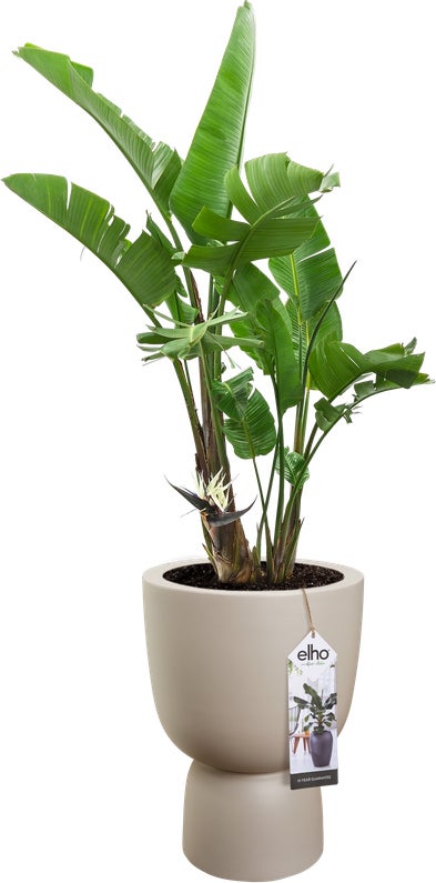 Elho bloempot op voet Pure beige D 34,9 H 49 cm