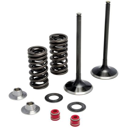 Soupape d'admission Moose Racing Kit complet