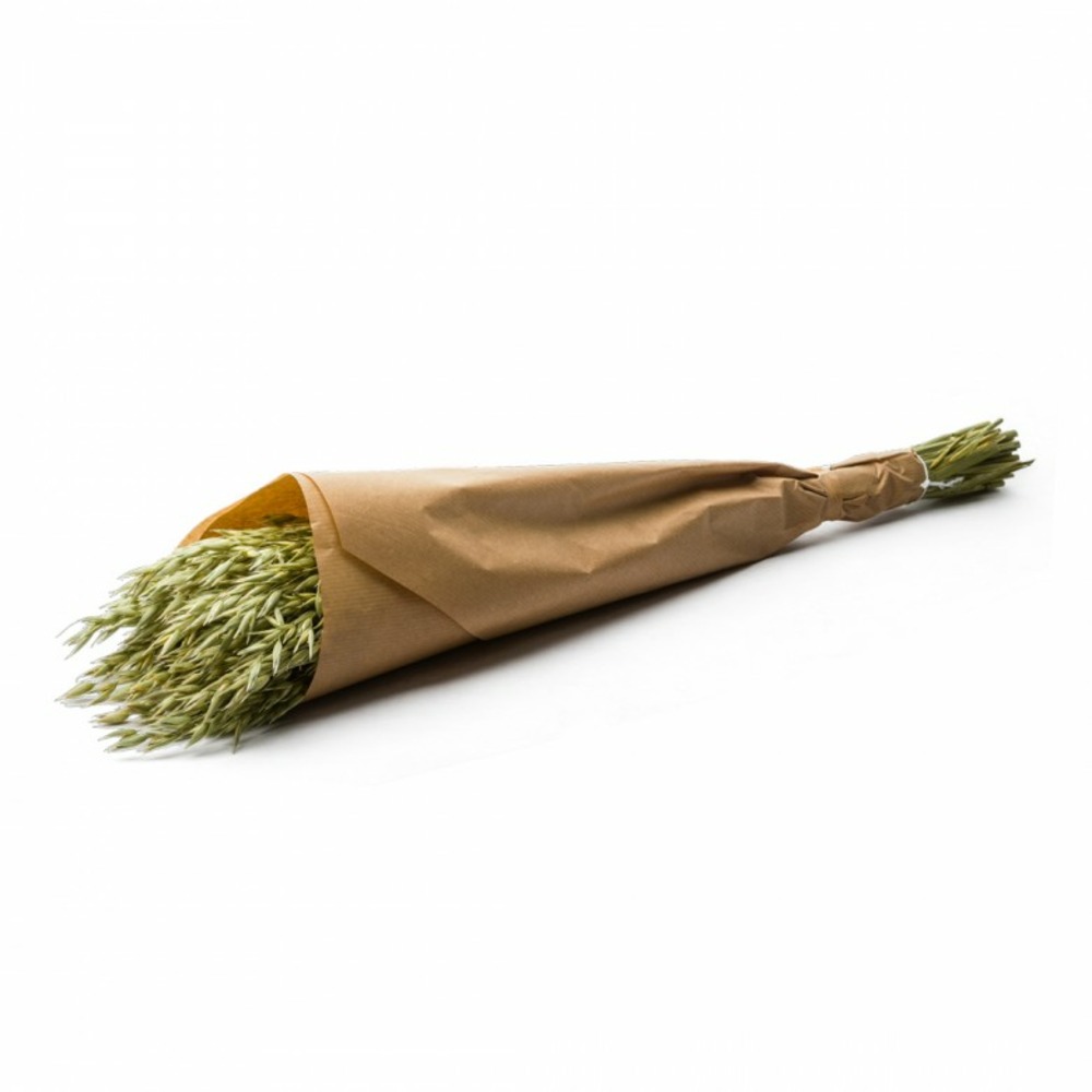 Botte de fleurs séchées avoine vert naturel