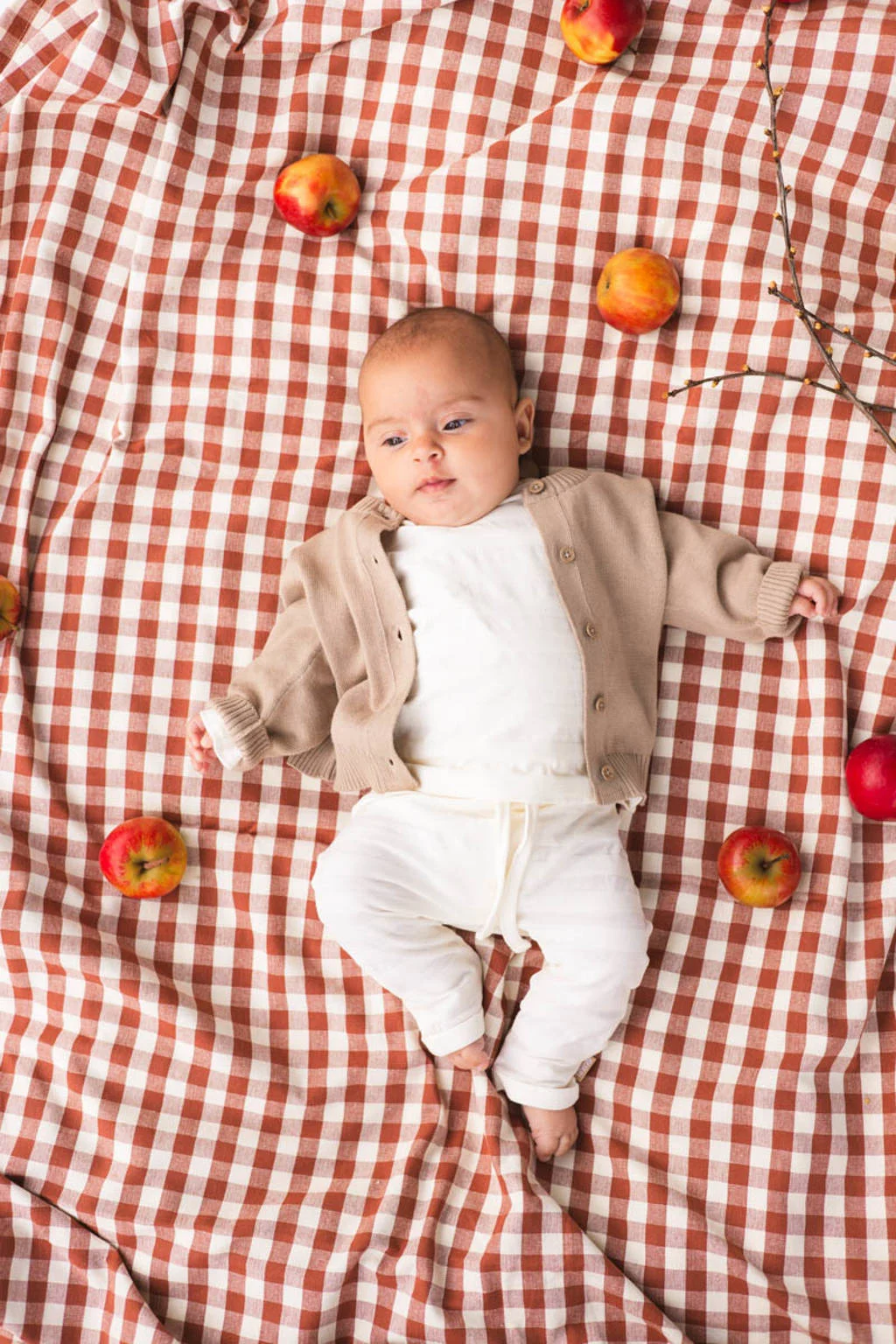 Quapi gebreid vest beige