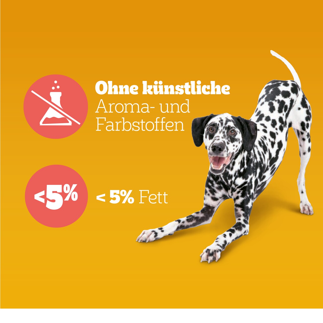 Pedigree Multivitamins Gelenkpflege 180g