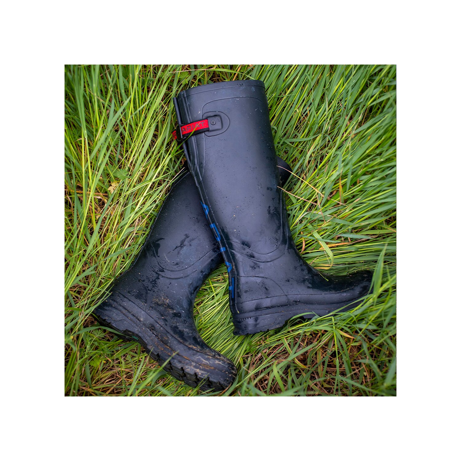 ARIAT Gummistiefel Kelmarsh  - navy