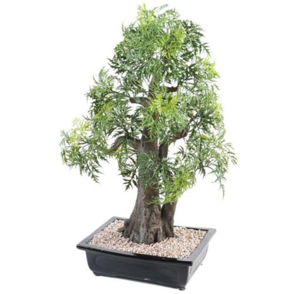 Bonsaï aralia artificiel h 80 cm d 50 cm en pot - choisissez votre hauteur: h 80