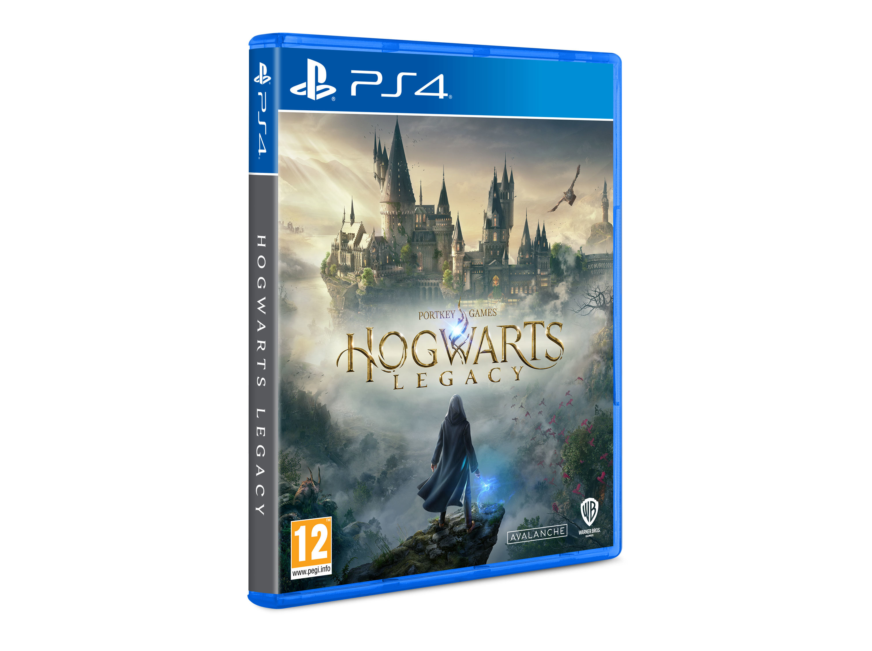 JOGO PS4 HOGWARTS LEGACY