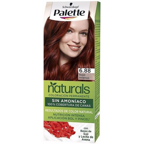 Palette - Natural Tinte 6.88-rojo Intenso