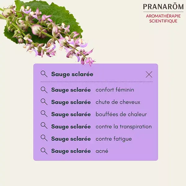 Óleo Essencial de Sálvia Esclareia Pranarom Florida 10ml