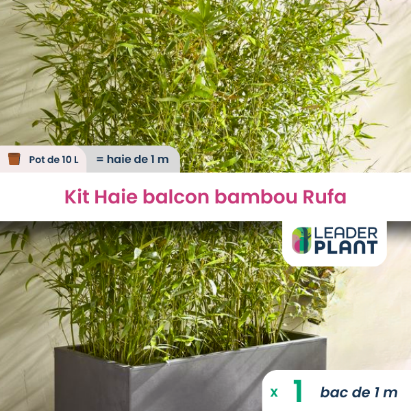 Kit brise-vue balcon bambou rufa 10 l
