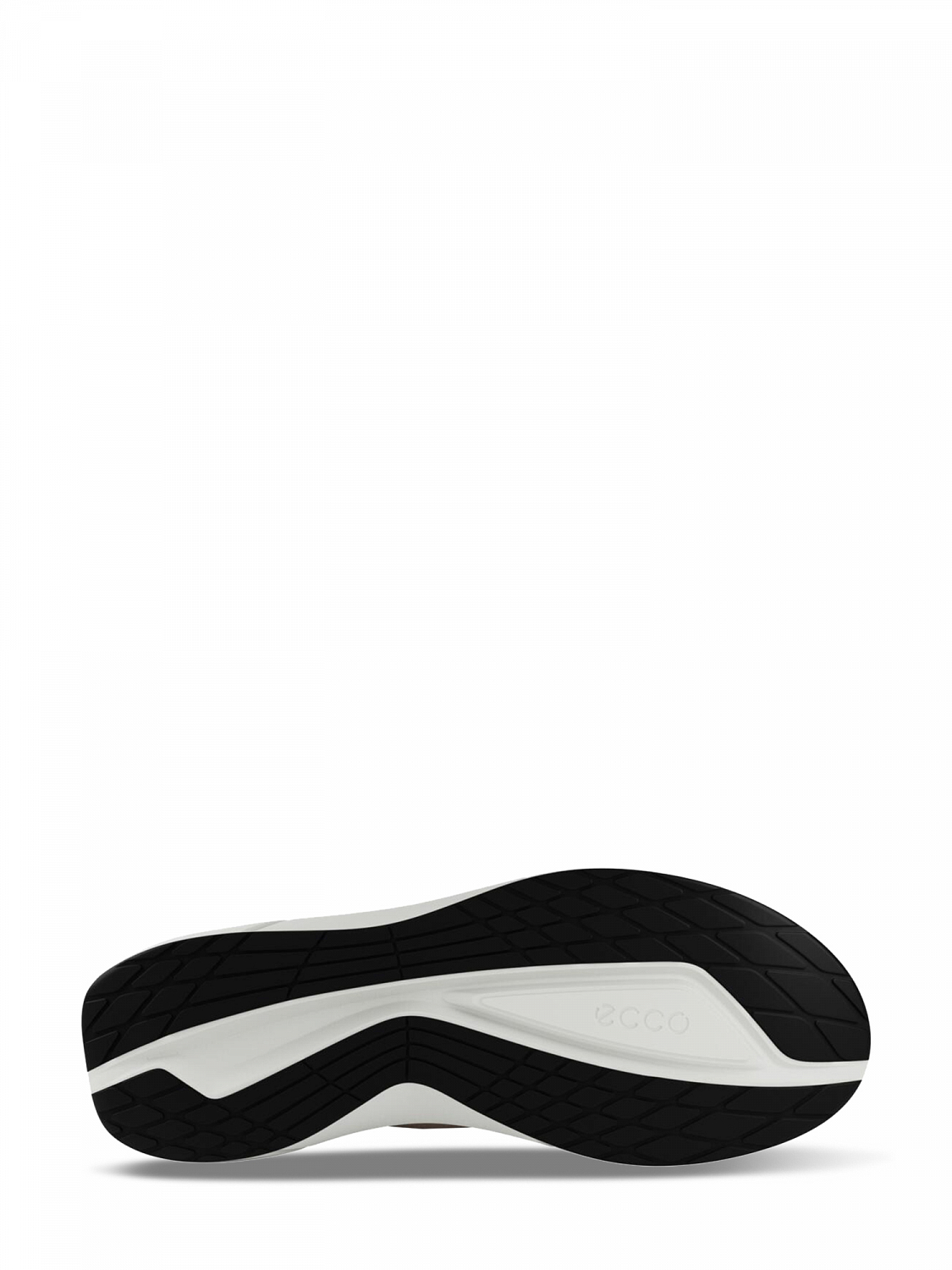 Ecco BIOM 2.2 W