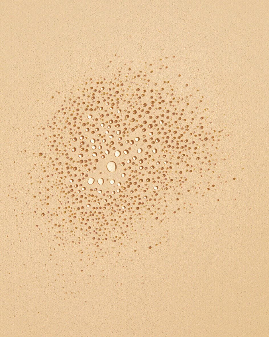 SPRAY HUILE SÈCHE PROTECT & BRONZE FPS 30