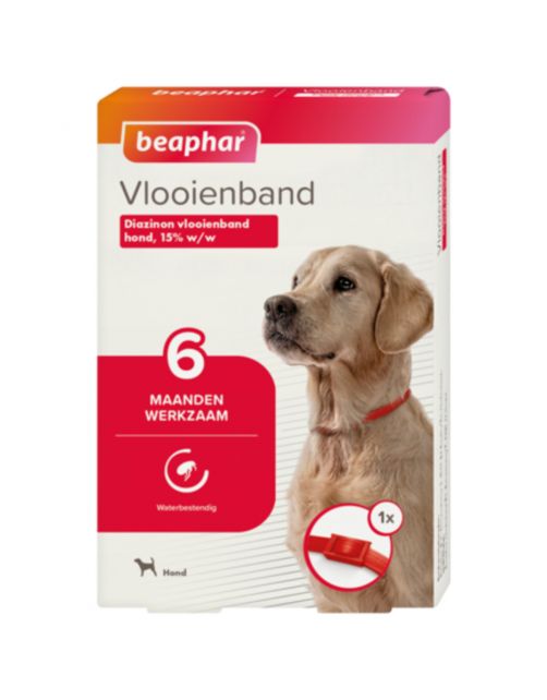 Beaphar Vlooienband 6 Mnd Hond 65 cm - Anti vlooienmiddel