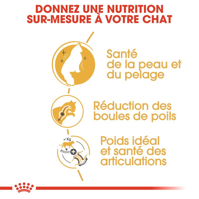 Royal Canin Norvégien Adult