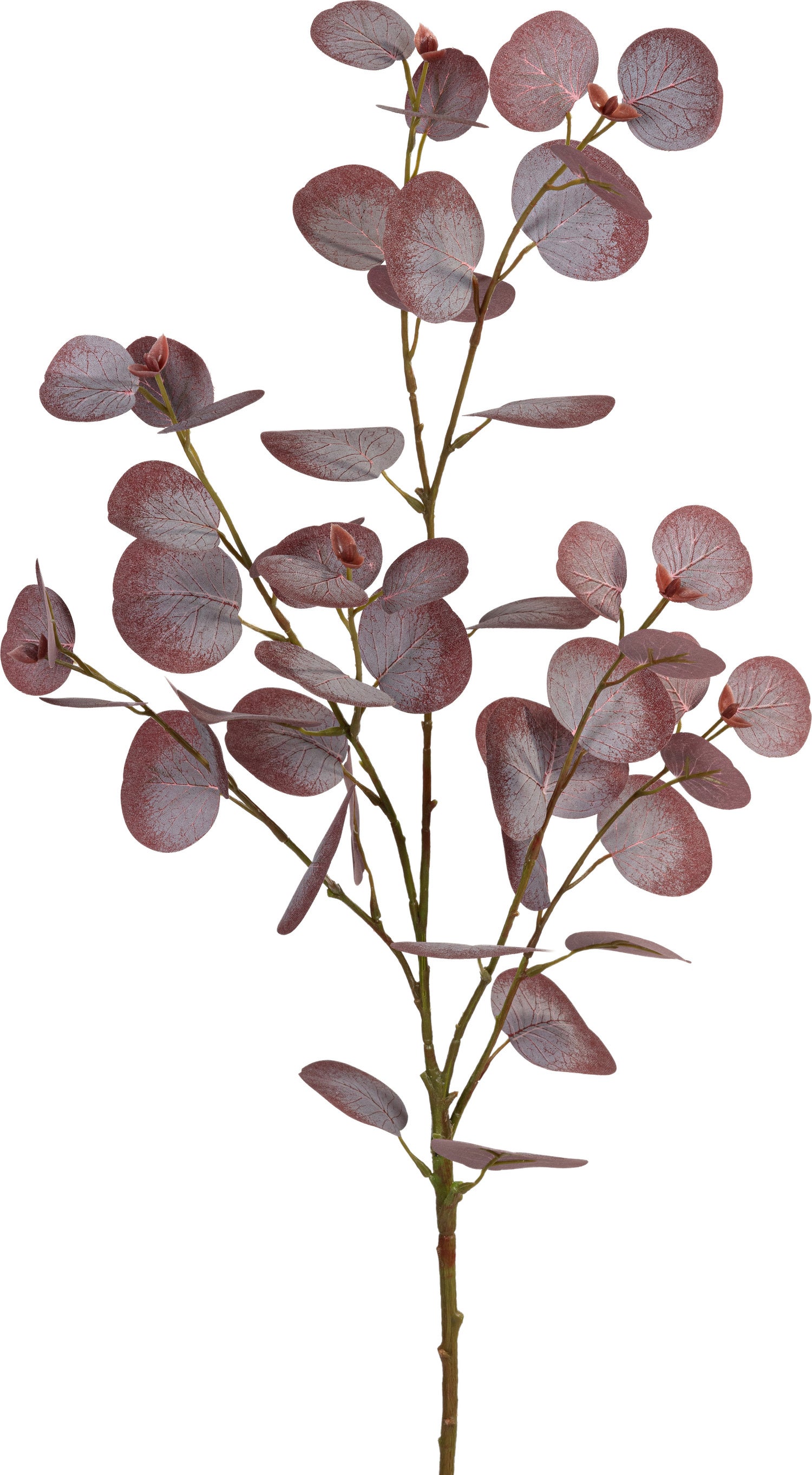 Louis Maes kunsttak Eucalyptus Bordeaux 95 cm