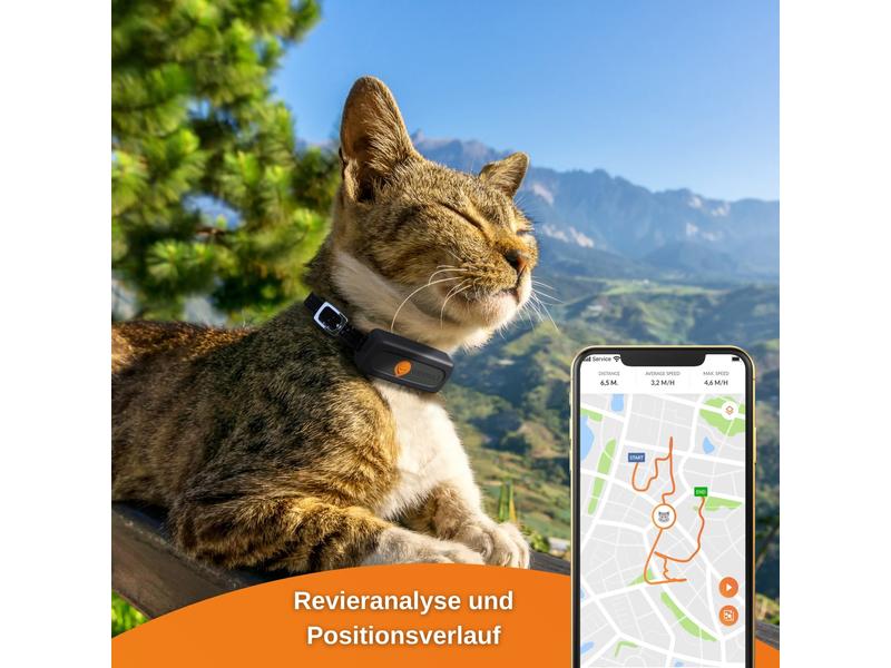 Weenect GPS-Tracker XS für Katzen, Schwarz Der kleinste GPS-Tracker für Katzen