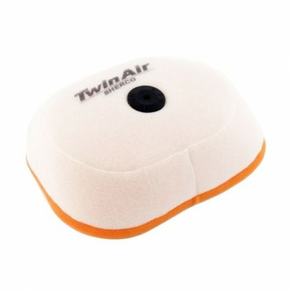 Filtre à air Twin air 156015