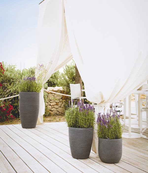 Vasar Kunststoff-Topf Shabby, rund, anthrazit