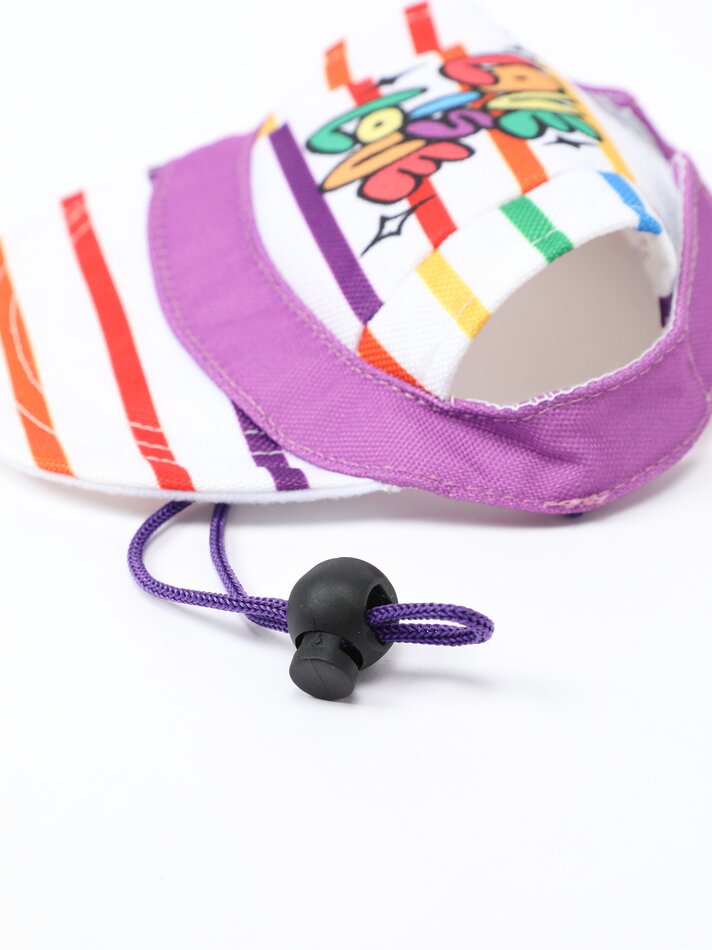 Conjunto de chapéu e bandana para animais de estimação - Vários modelos