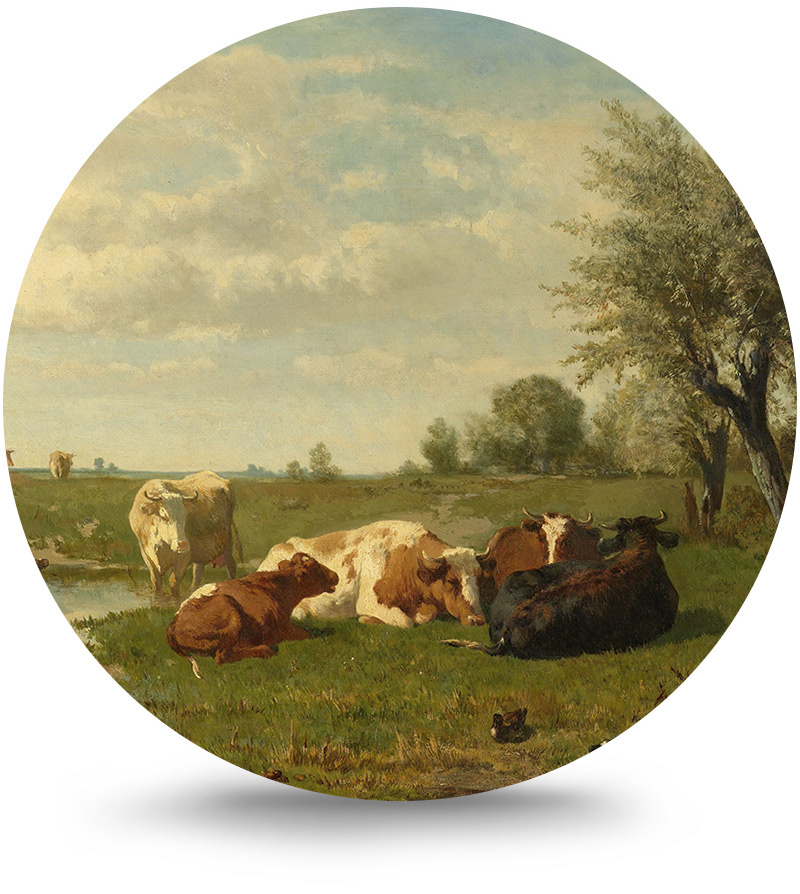 Rond schilderij aluminium Koeien in de weide 120 cm
