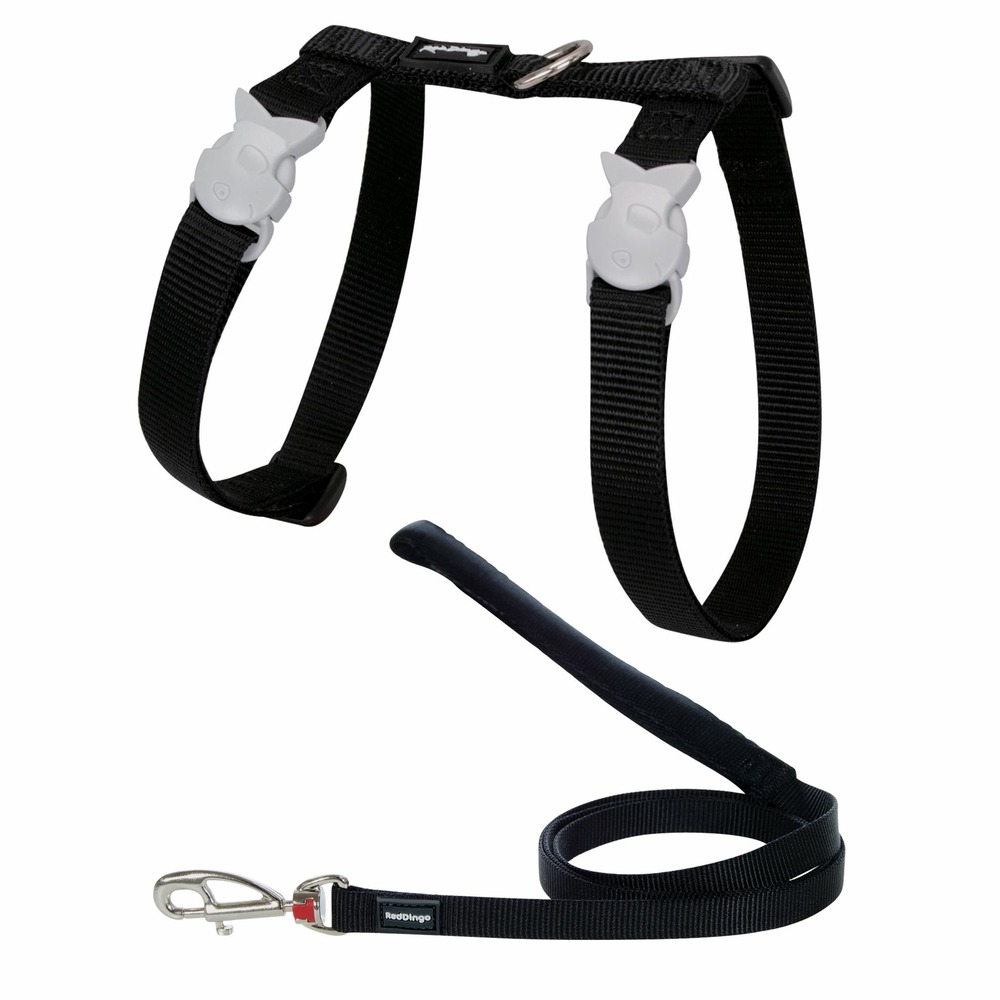 Ensemble harnais et laisse red dingo chats basic noir