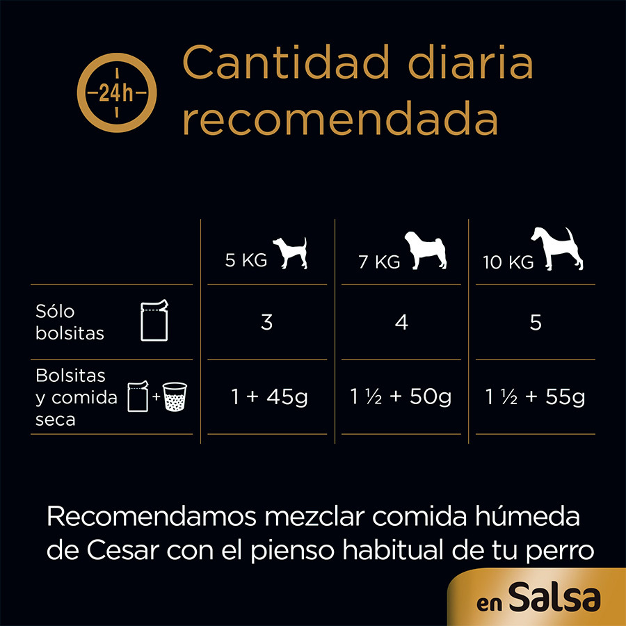 Molho de Carnes Mistas Cesar em Sachê para Cães - Pacote com Vários