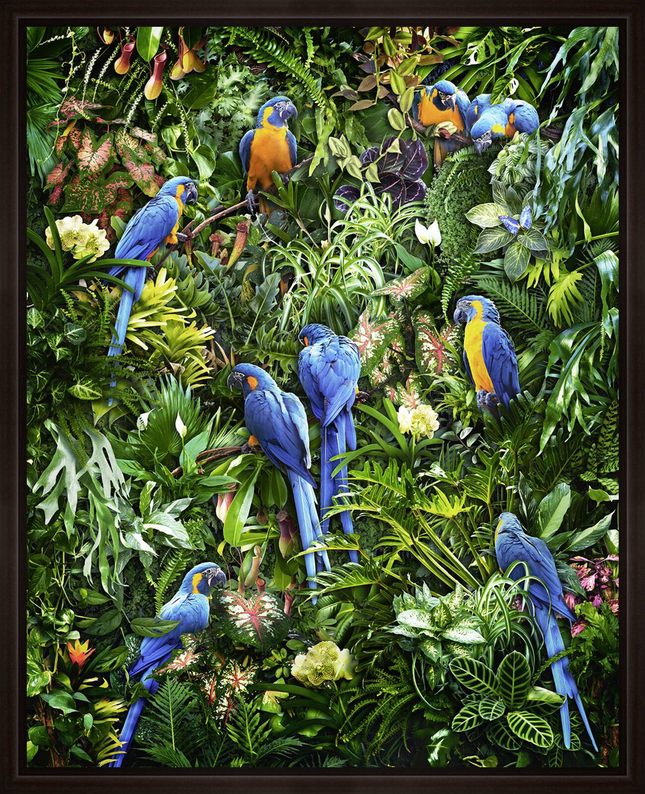 Lush Life I by Jesper Krijgsman - Limited Edition. Edition of: 150. Signed.