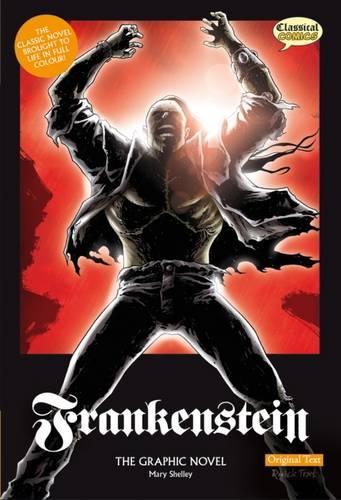 Frankenstein: Original Text (Paperback)