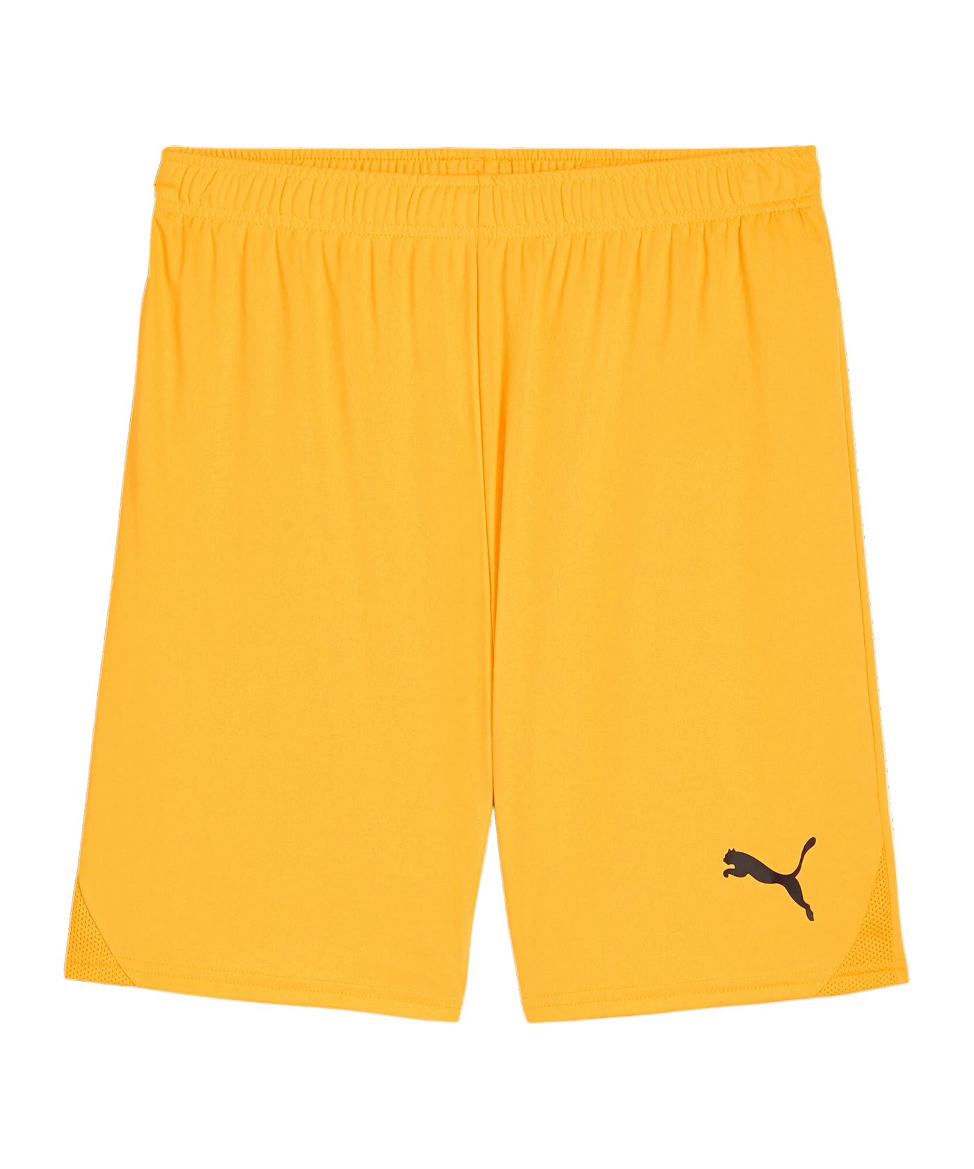 PUMA teamGOAL Short Orange Schwarz F61