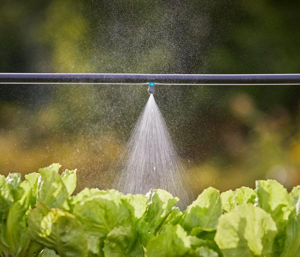 GARDENA Micro-Drip-System Nebeldüse, 5 Stk.