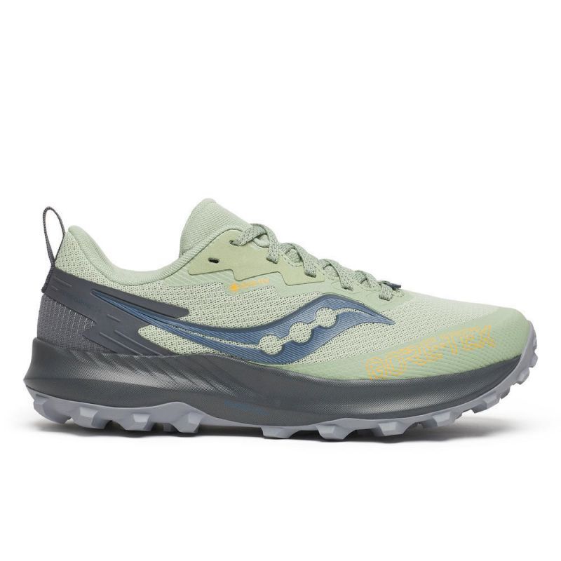 Peregrine 14 GTX - Chaussures trail femme