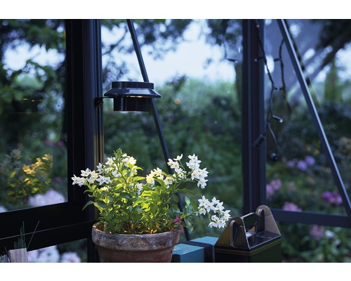 Juliana solar LED-lamp voor kassen