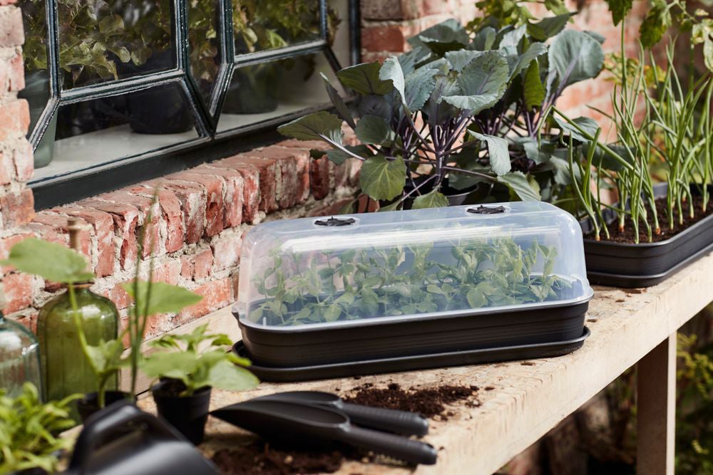 Elho Green Basics kweektray L living black