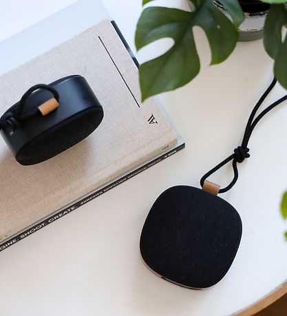 SACKit Lautsprecher - Go 250 - Tragbarer Bluetooth-Lautsprecher