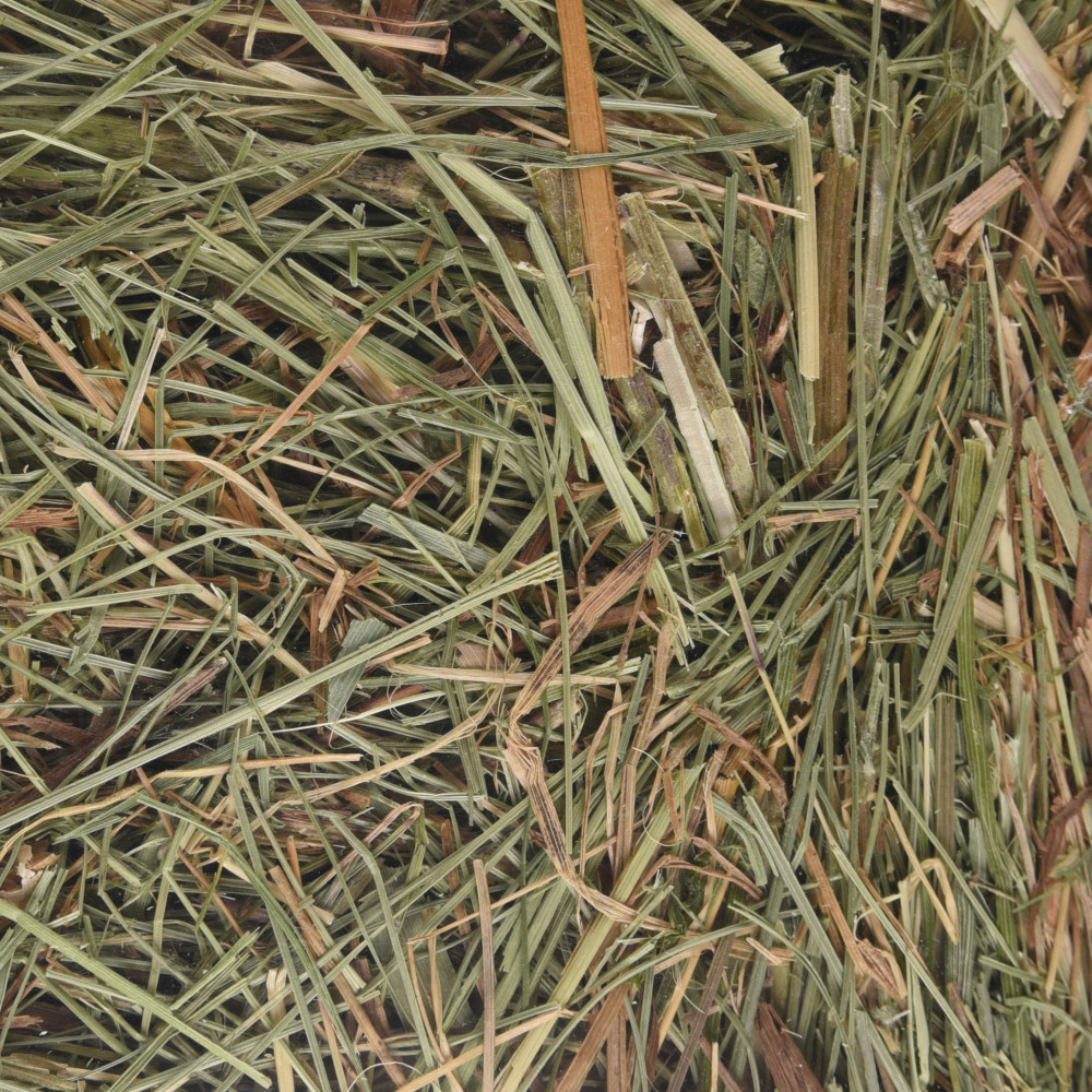 Foin de montagne avec orties 500 g pour rongeurs