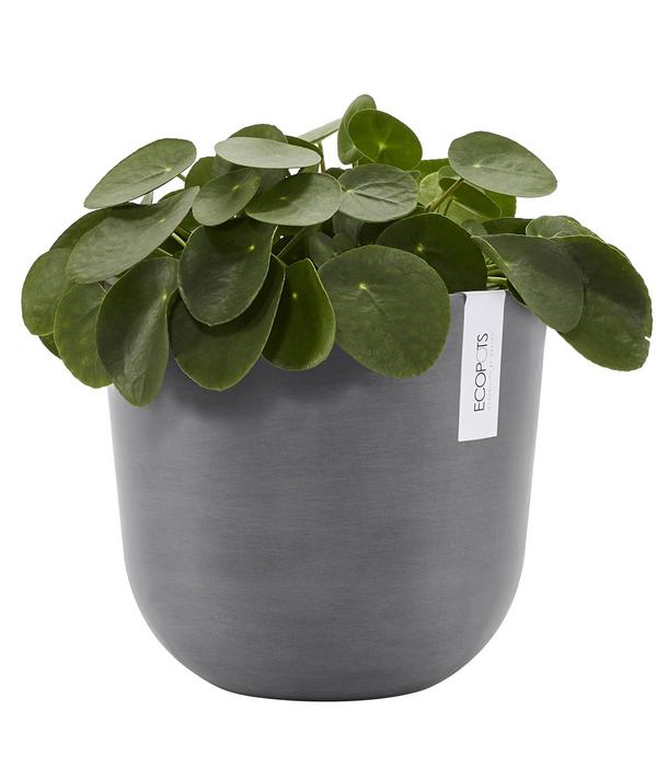 Ecopots Kunststoff-Topf Oslo mit Wassersystem,