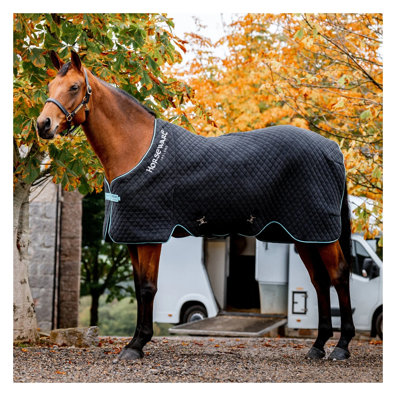 HORSEWARE Transport- und Abschwitzdecke Autumn Cooler - black-aqua