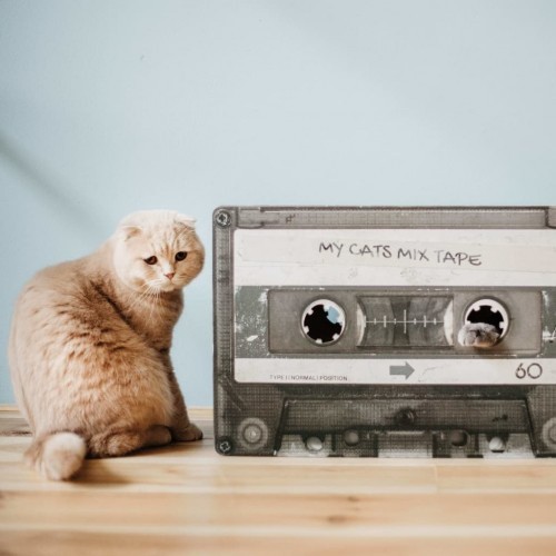 Mixtape Scratching Post/Cave District70 Preto e Marrom
