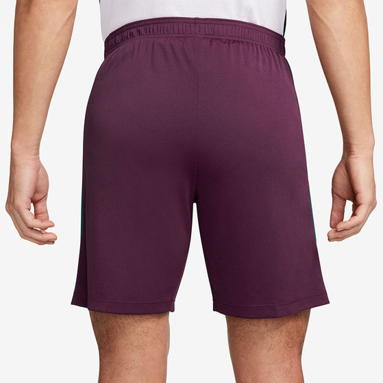 Nike Paris Saint-Germain Strike Short 2024/2025